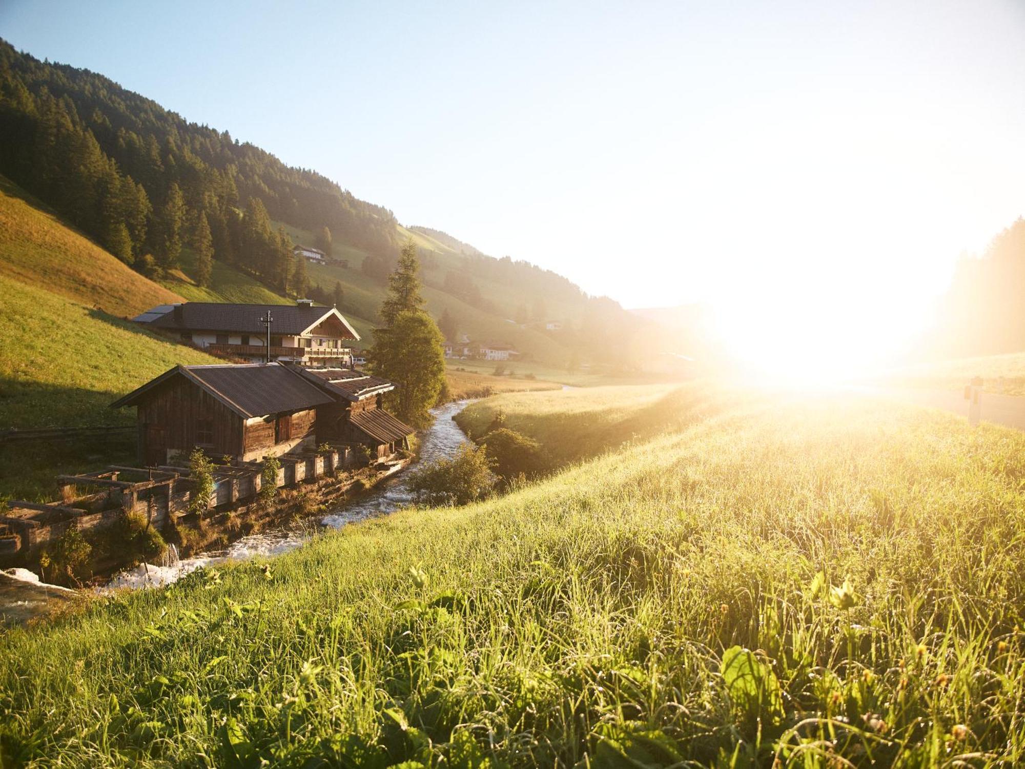 Almi'S Berghotel Obernberg am Brenner Buitenkant foto